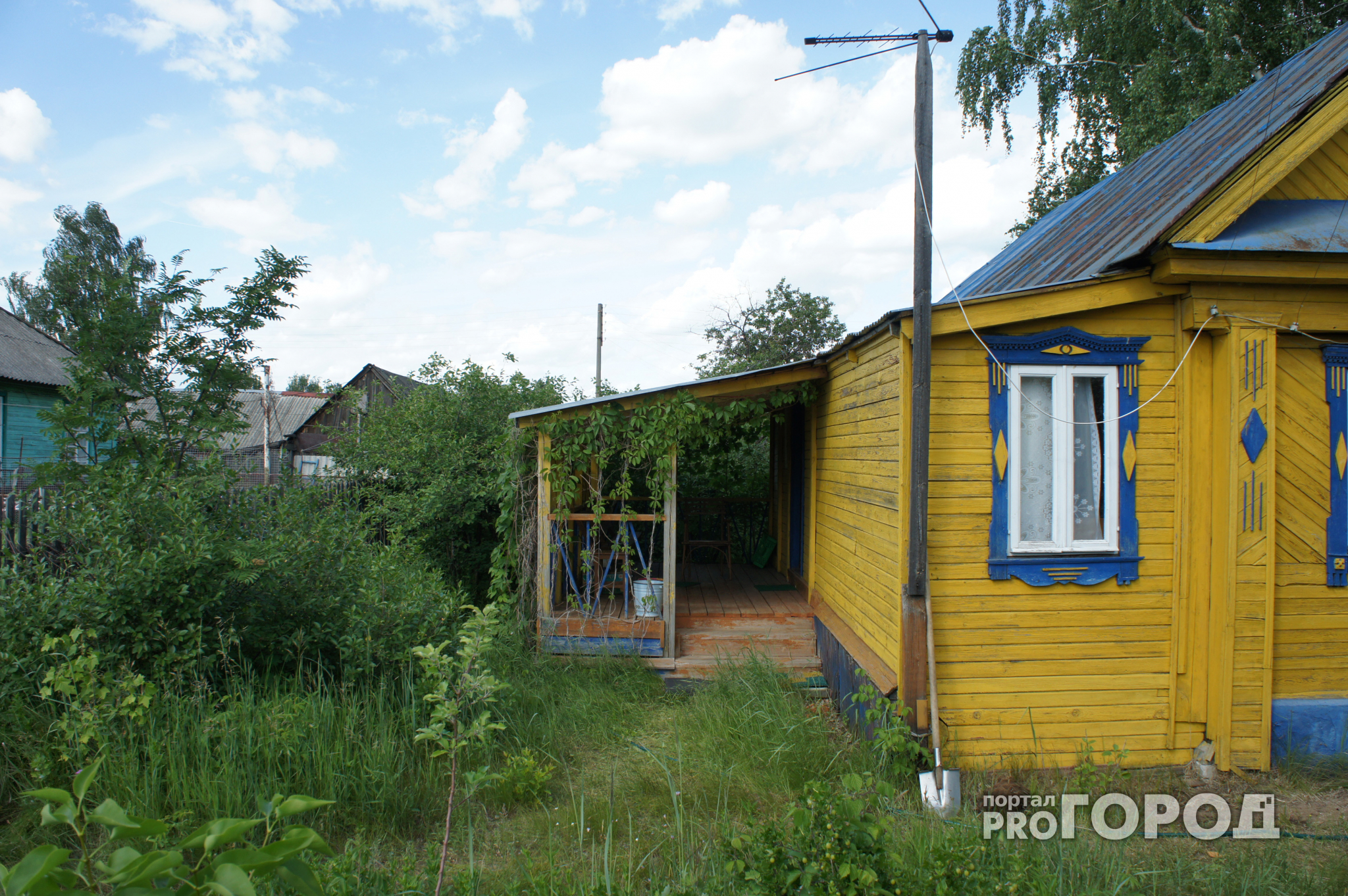 «Голодный» вор похитил из дачного дома в Ярославской области продукты
